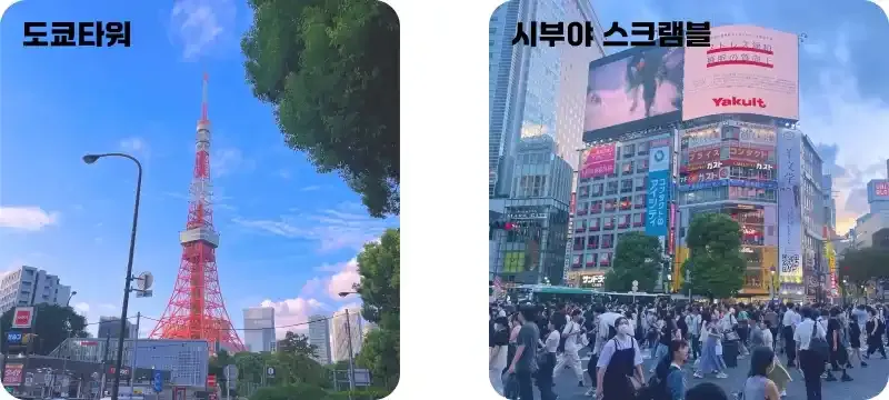 아고다 할인코드 사용 후기 아고다 할인코드 사용 후기