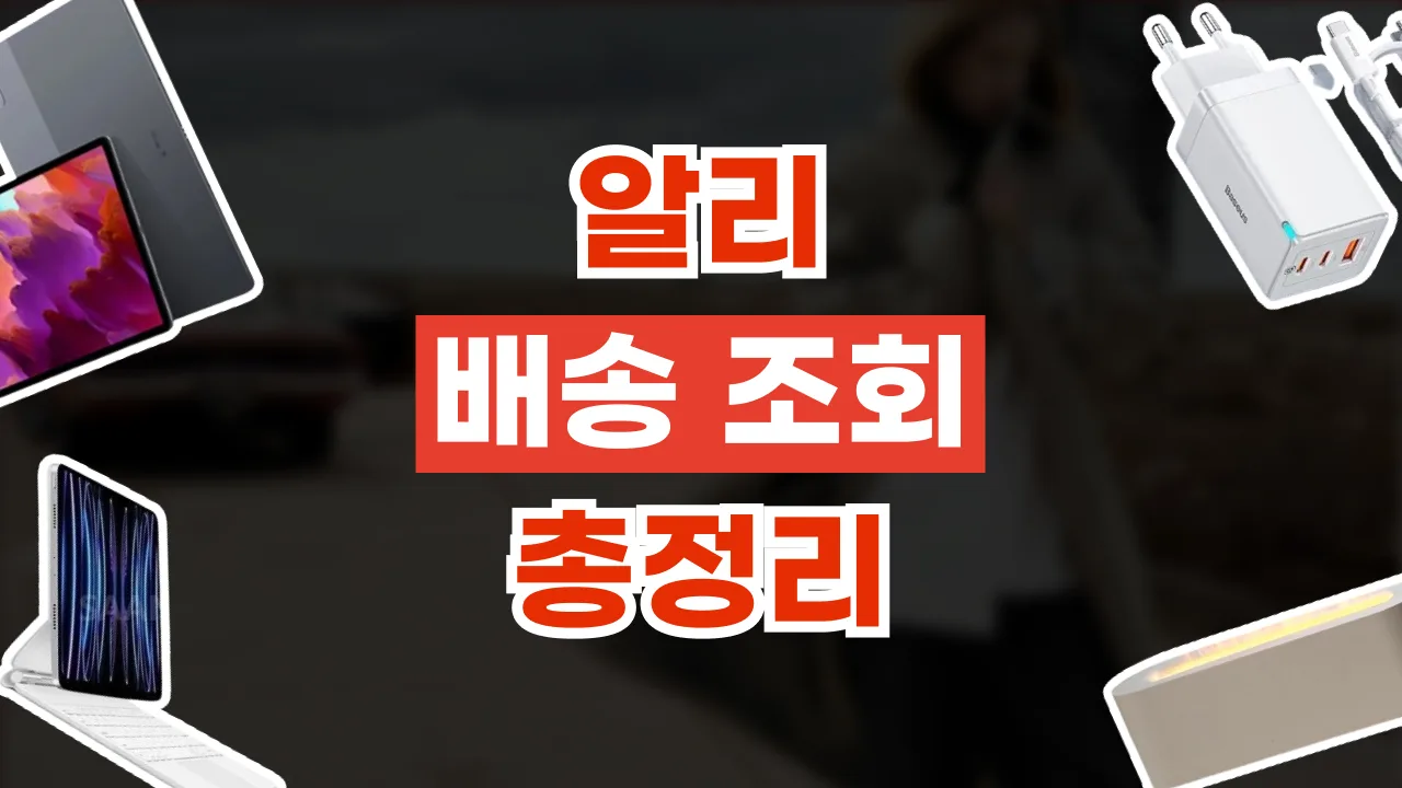2026년 최신 알리익스프레스 배송 기간 및 조회 방법