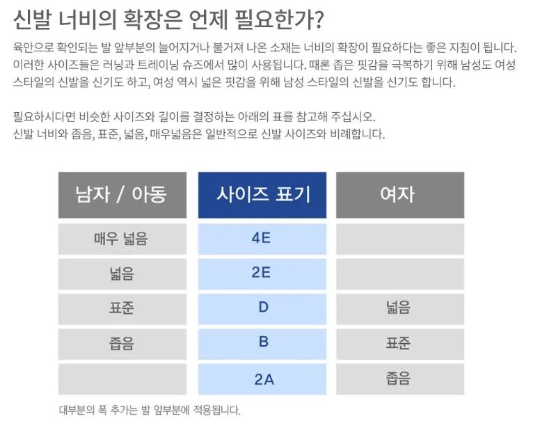 D · 2E · 4E의 차이