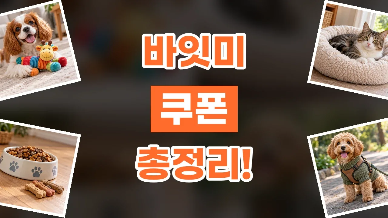 바잇미 쿠폰 2026년 최신 바잇미 쿠폰