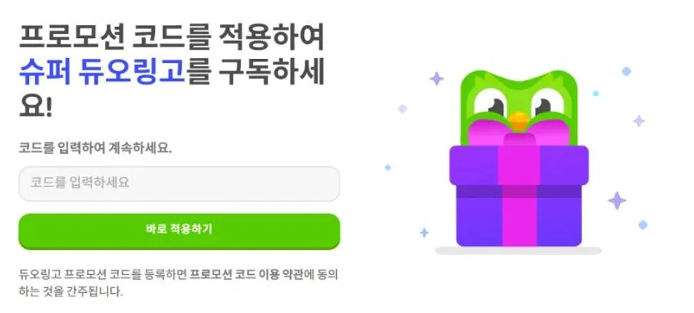 듀오링고 프로모션 코드 등록 페이지 코드 입력란과 바로 적용하기 버튼 듀오링고 프로모션 코드 등록 페이지 코드 입력란과 바로 적용하기 버튼