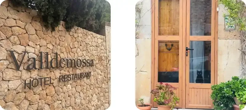 익스피디아 할인코드 사용 후기 익스피디아 할인코드 사용 후기
