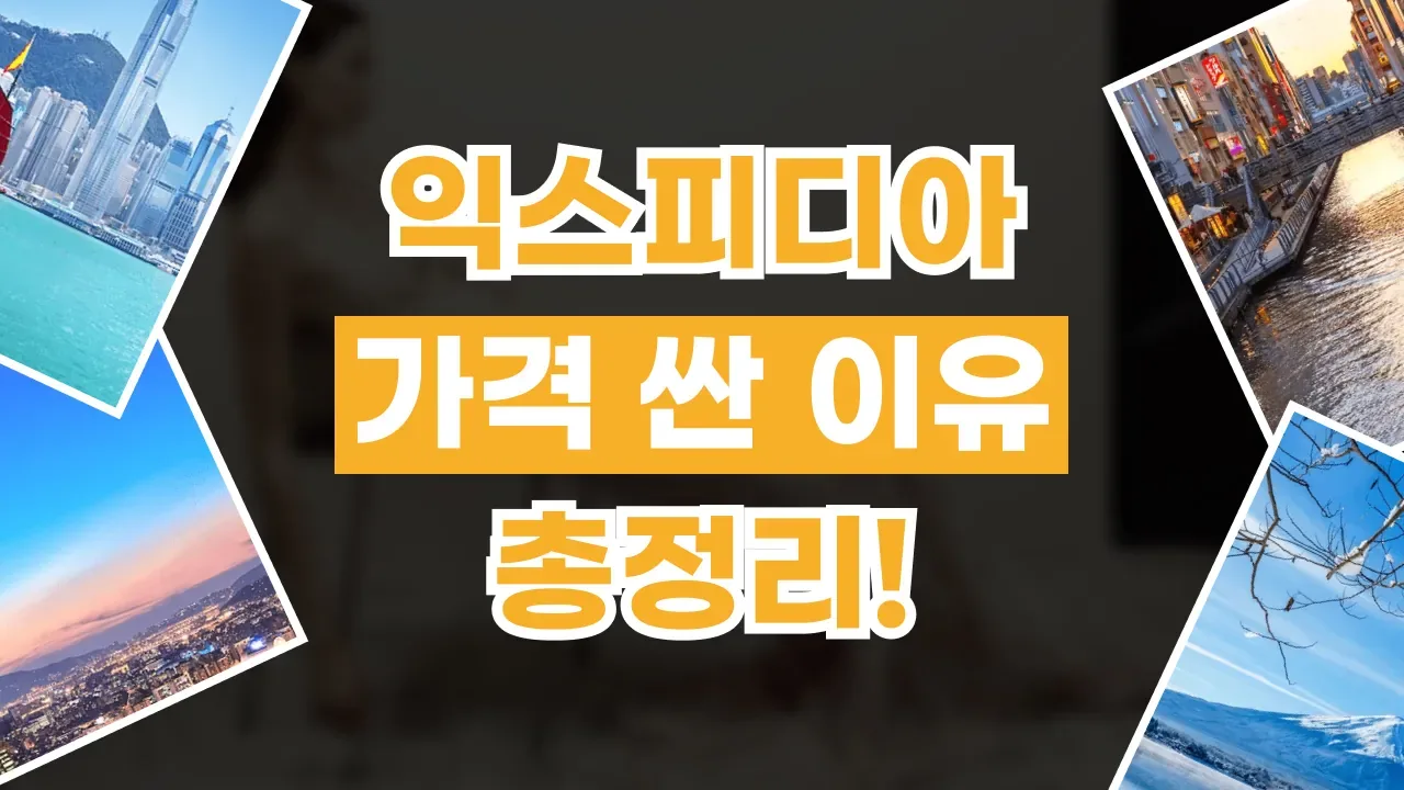 2026년 최신 익스피디아 가격 싼 이유