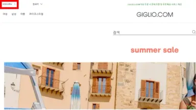 GIGLIO 직구 요약 GIGLIO 직구 요약