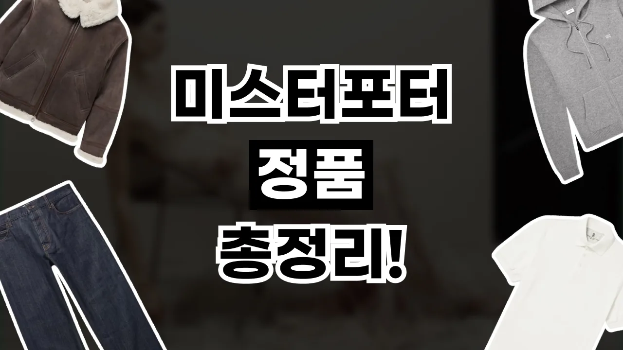 2026년 최신 미스터포터 정품 총정리