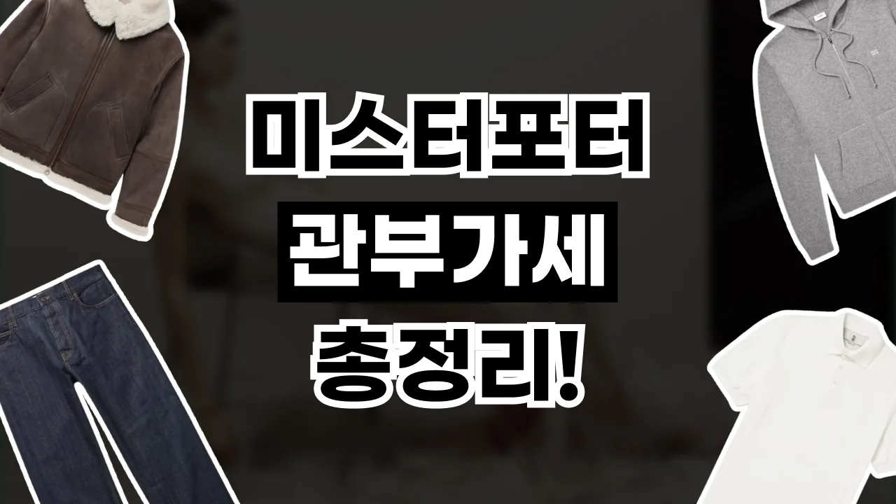 2026년 최신 미스터포터 관부가세 총정리