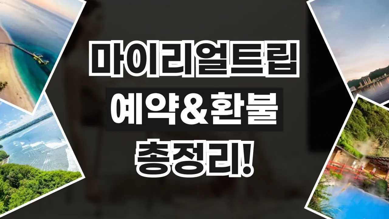 마이리얼트립 예약 취소 및 환불 방법 - 디스팟 할인정보