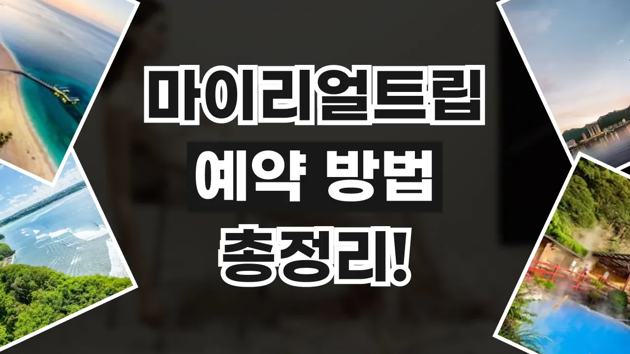 마이리얼트립 예약 방법 - 디스팟 할인정보