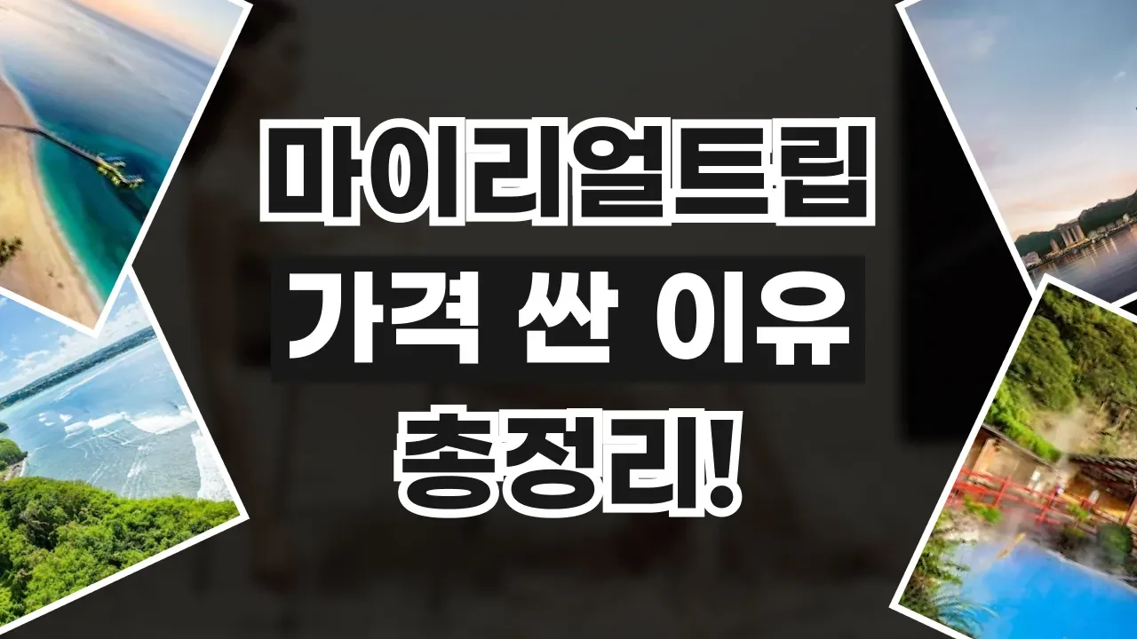 마이리얼트립 가격 싼 이유 마이리얼트립 가격 싼 이유 - 디스팟 할인정보