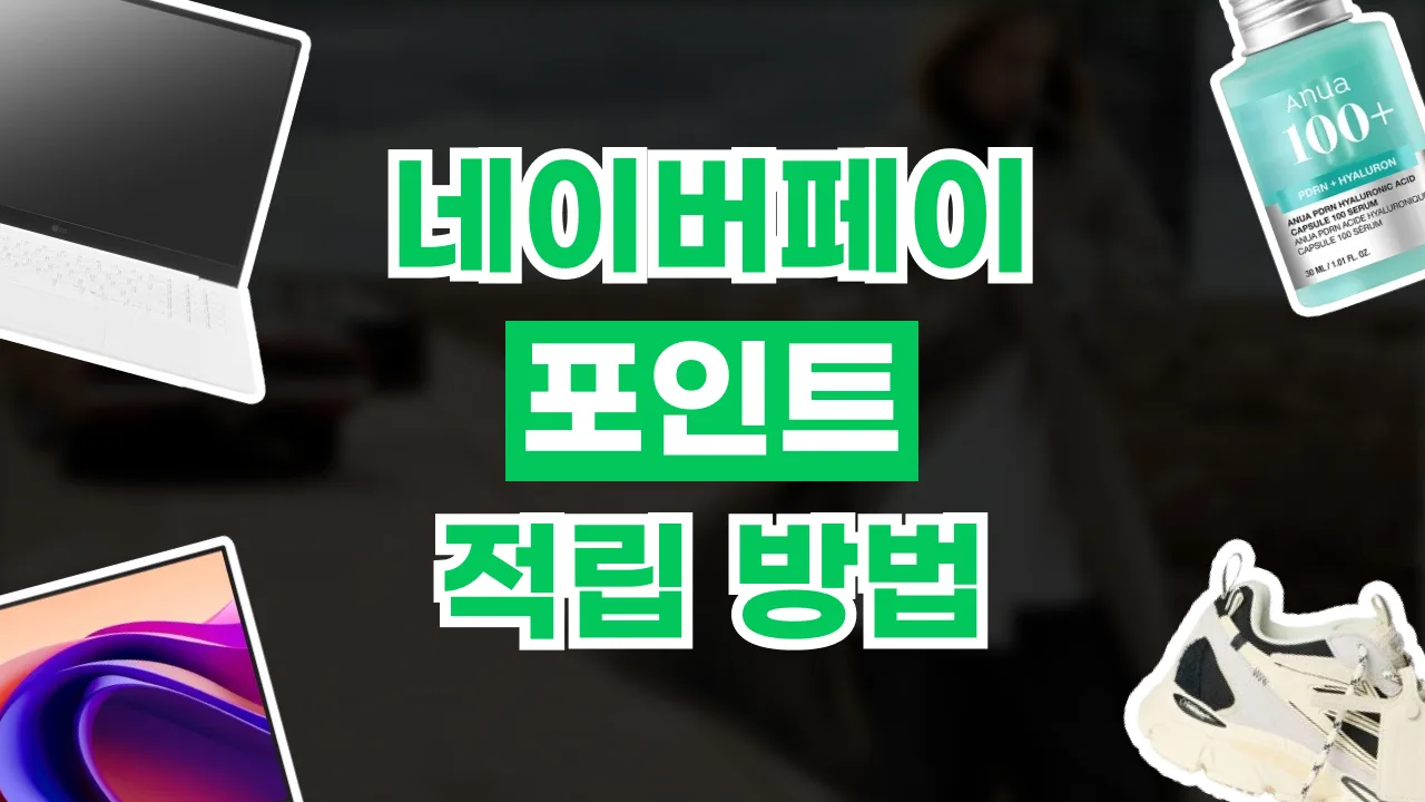 2026년 최신 네이버페이 포인트 적립 총정리