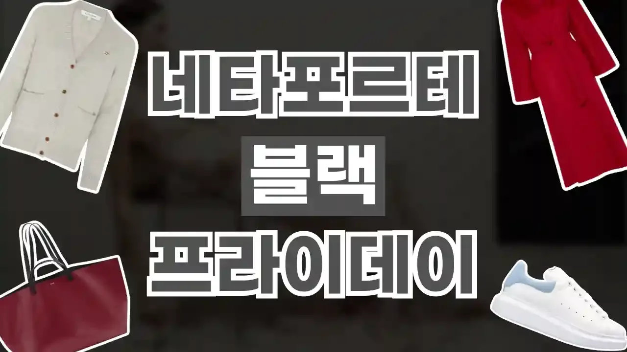 네타포르테 블랙프라이데이 할인코드 - 디스팟 할인정보
