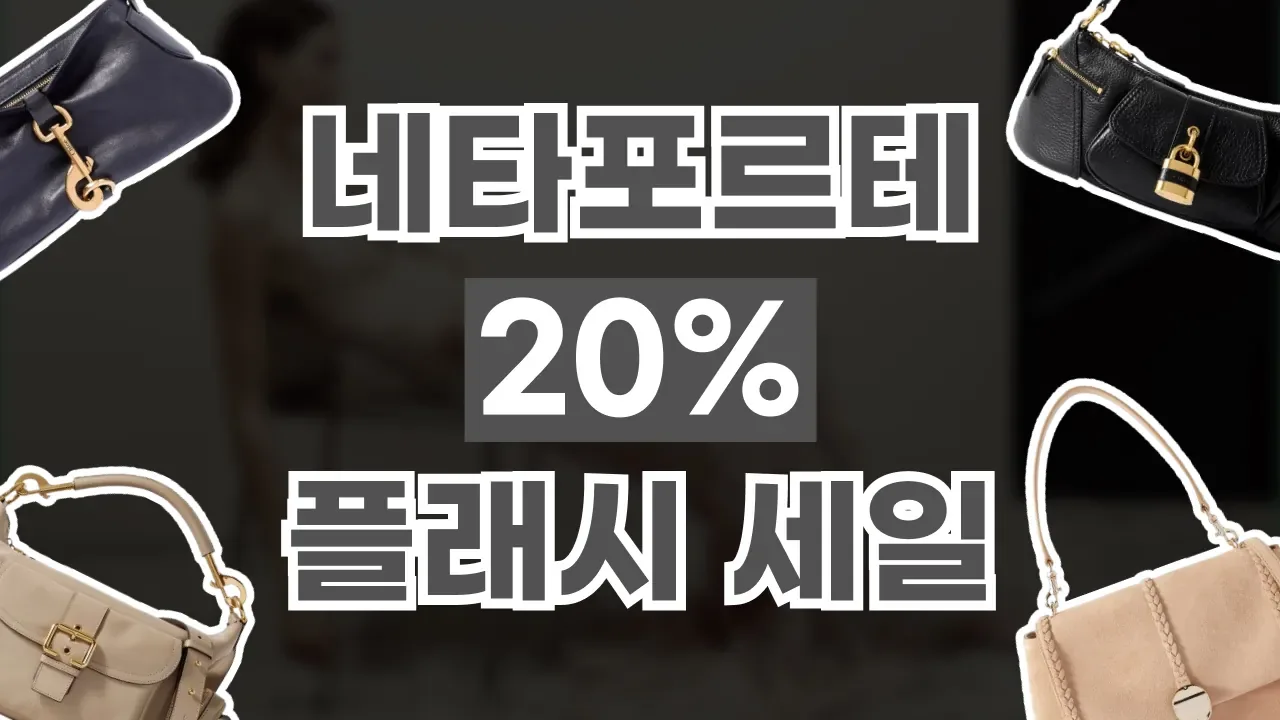 2026년 최신 네타포르테 플래시 세일
