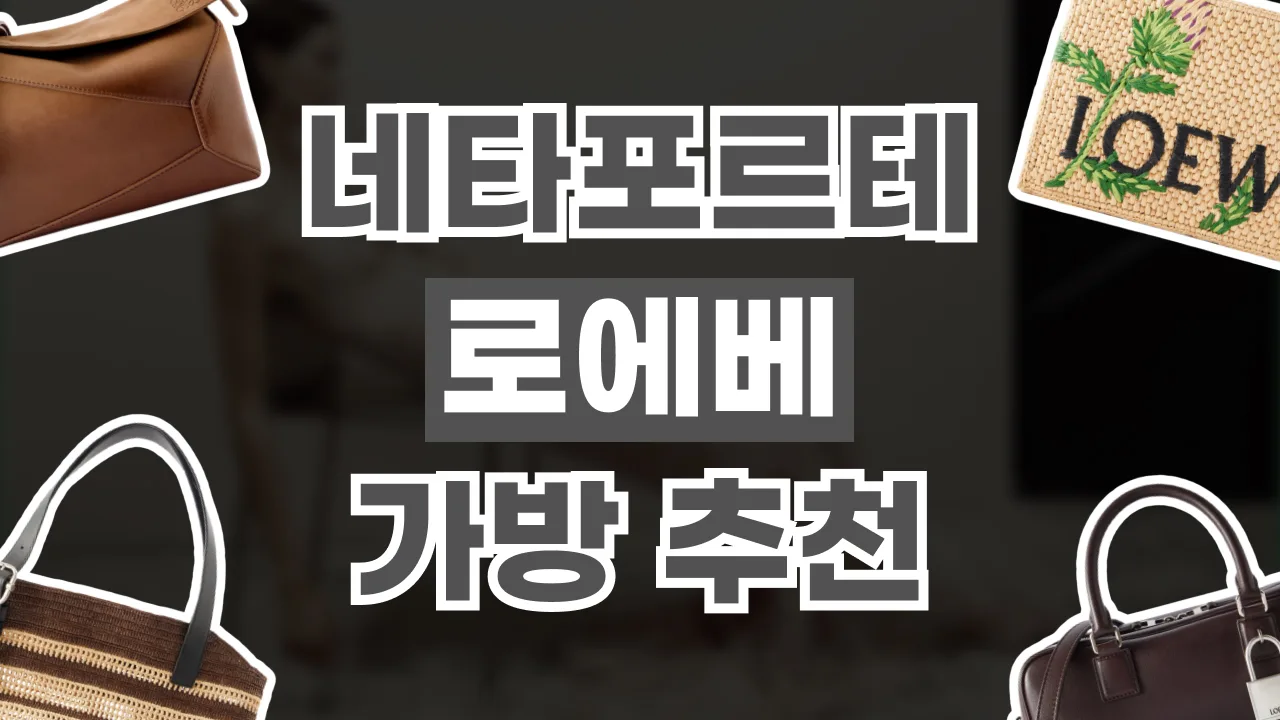 2026년 최신 네타포르테 로에베 가방 추천템