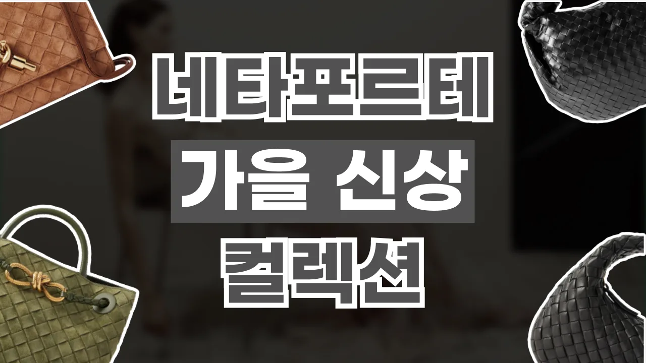 2026년 최신 네타포르테 2026 가을 신상 보테가 베네타 가방 추천