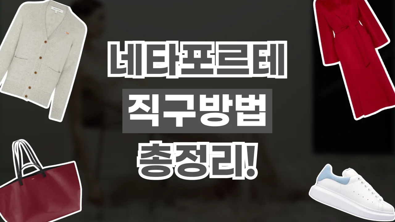 네타포르테 직구 방법 2026년 최신 네타포르테 직구 방법
