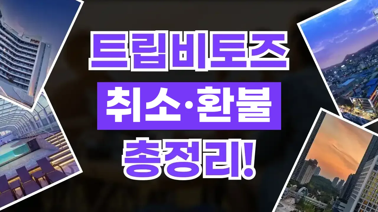 트립비토즈 예약 취소 및 환불 방법 트립비토즈 예약 취소 및 환불 방법 - 디스팟 할인정보
