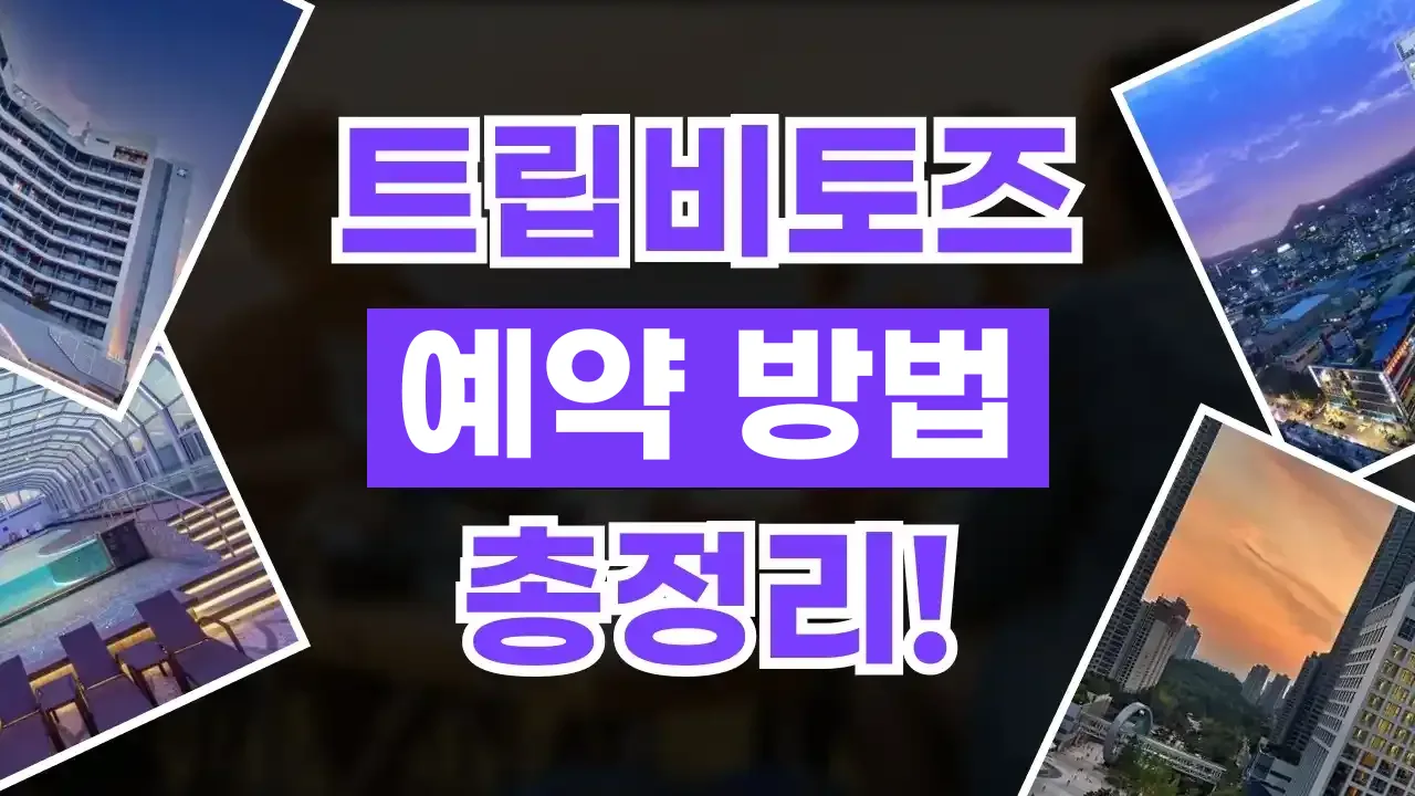 트립비토즈 예약 방법 2026년 최신 트립비토즈 예약 방법