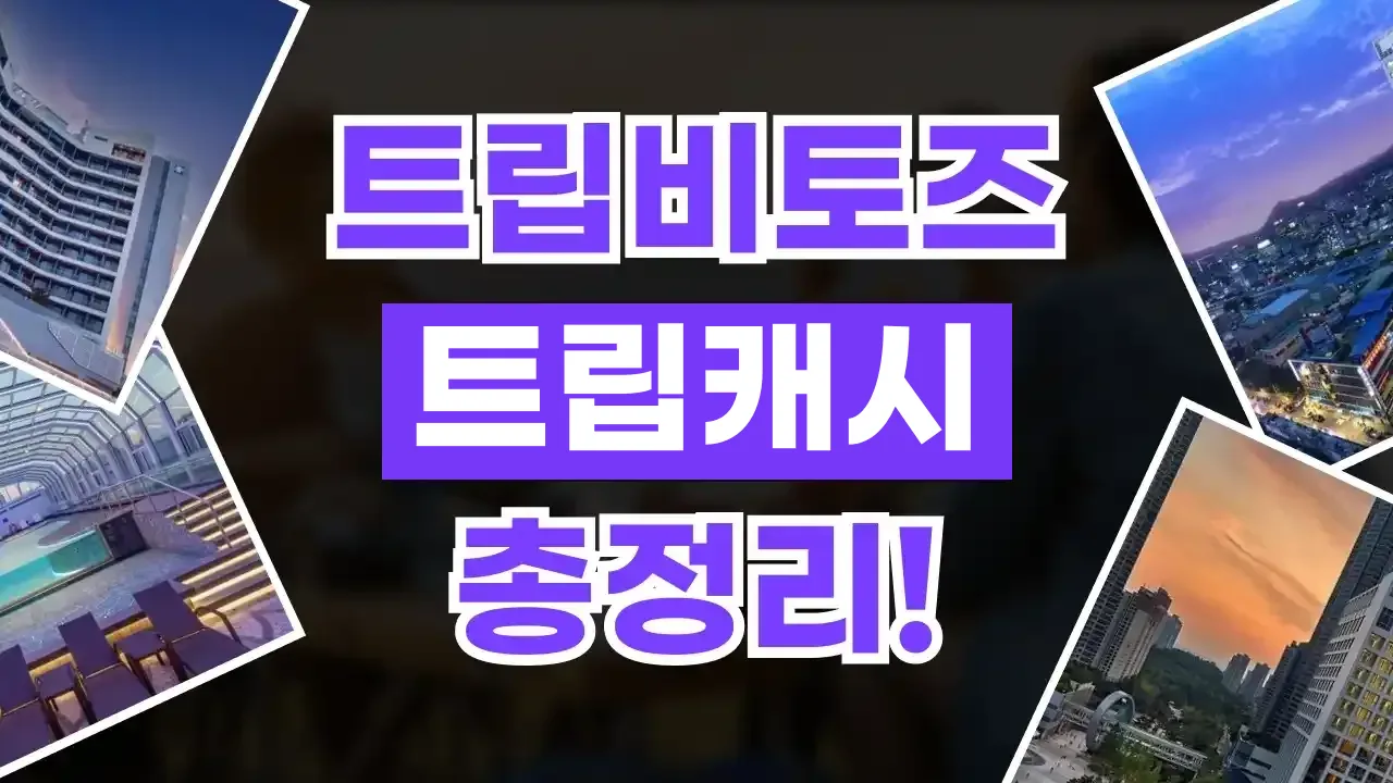 트립비토즈 트립캐시 총정리 트립비토즈 트립캐시 총정리 - 디스팟 할인정보