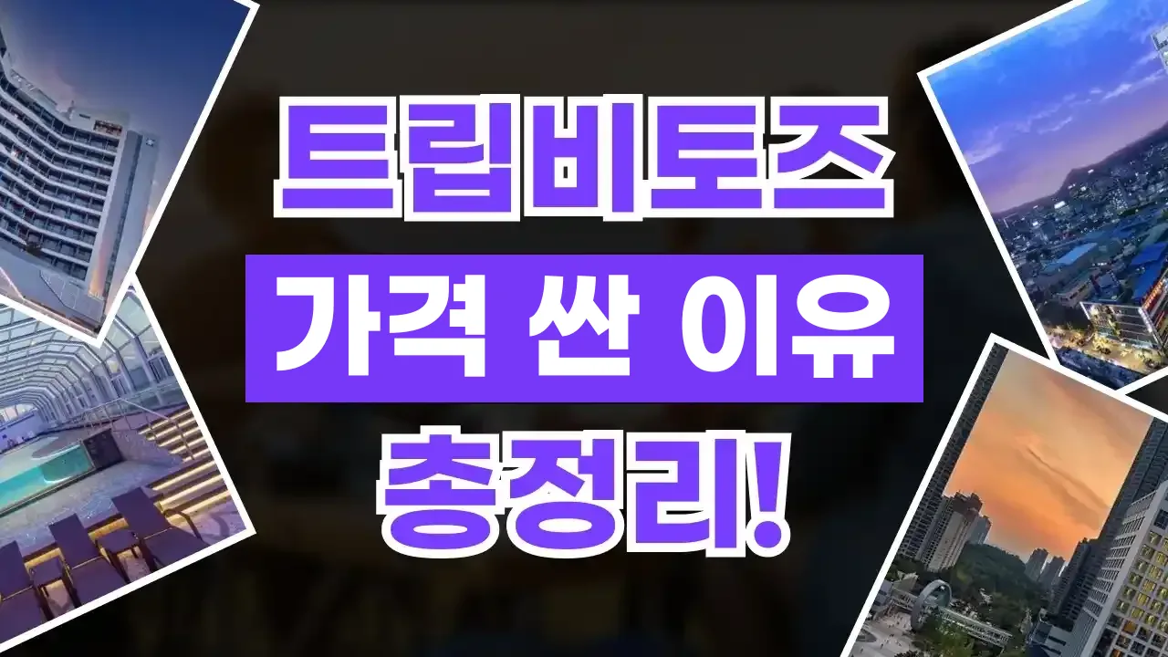 트립비토즈 가격 싼 이유 트립비토즈 가격 싼 이유 - 디스팟 할인정보