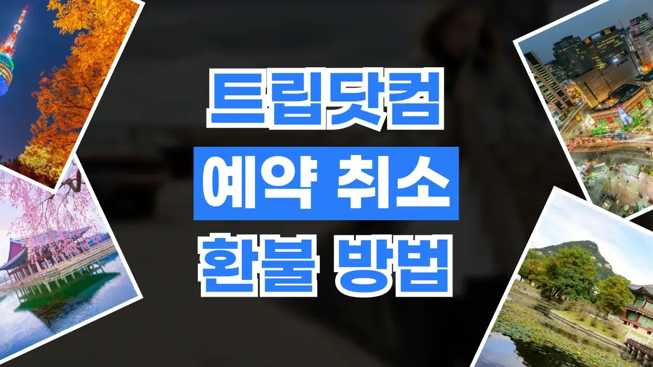 트립닷컴 예약 취소 및 환불 방법 - 디스팟 할인정보