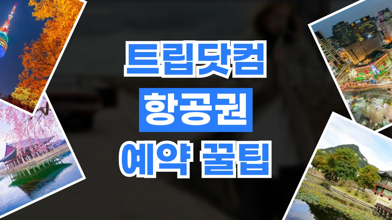 트립닷컴 항공권 예약 꿀팁 2026년 최신 트립닷컴 항공권 예약 꿀팁