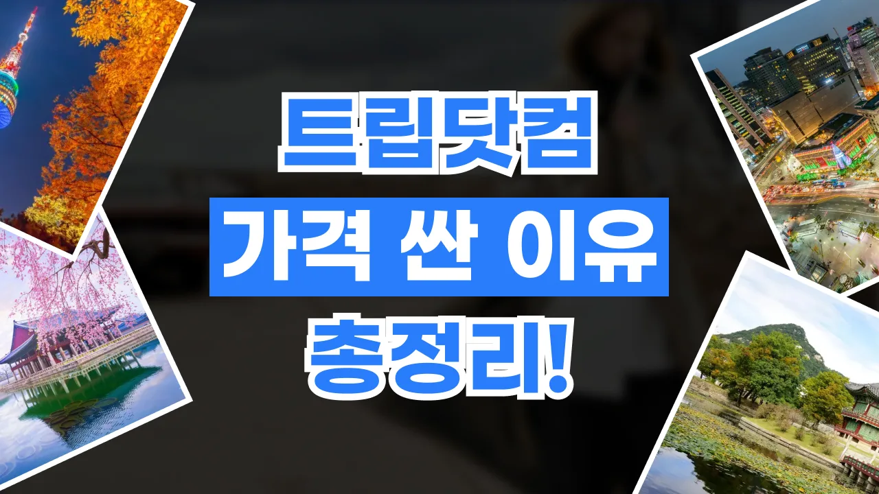2026년 최신 트립닷컴 가격 싼 이유