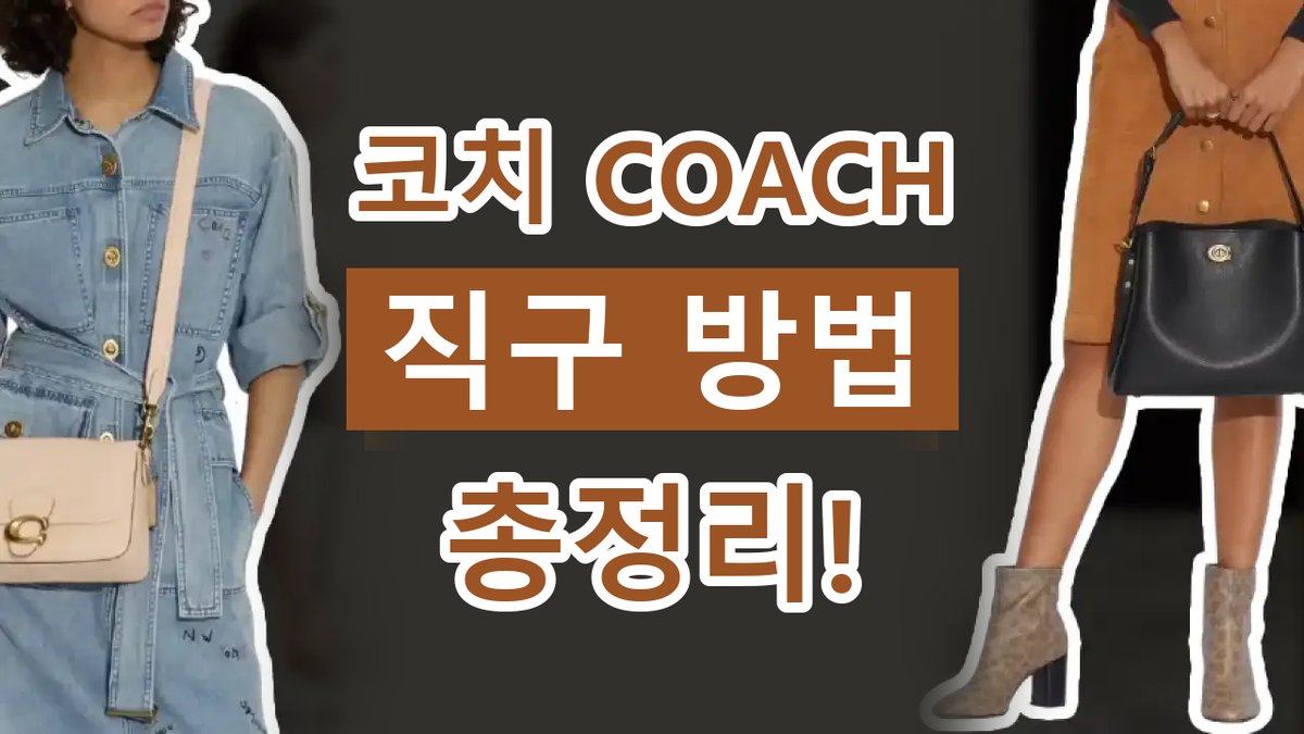 2026년 최신 코치 직구